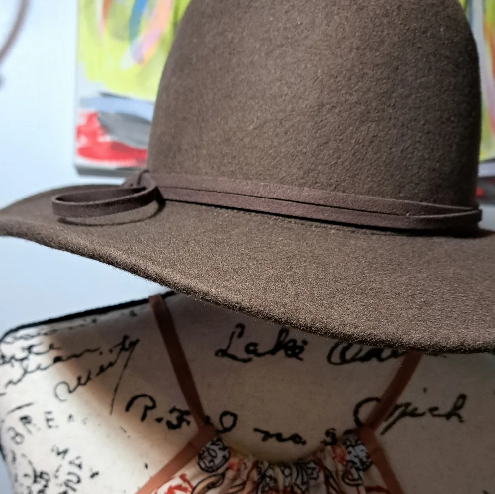 Vintage Brown Wool Wide-Brim Hat - Picture 6 of 9